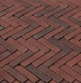 TERRA NOVARA ANTICA